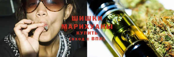 ПСИЛОЦИБИНОВЫЕ ГРИБЫ Арсеньев