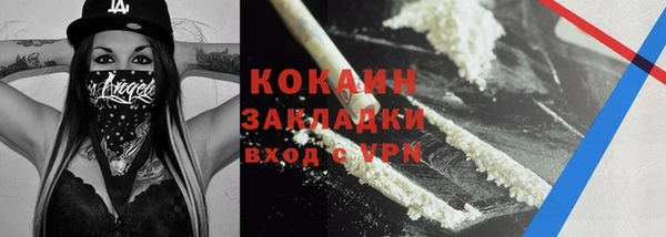 ПСИЛОЦИБИНОВЫЕ ГРИБЫ Арсеньев