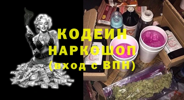 ПСИЛОЦИБИНОВЫЕ ГРИБЫ Арсеньев