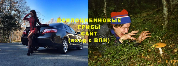 бутират Баксан