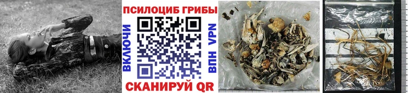 Галлюциногенные грибы ЛСД  хочу наркоту  мега зеркало  Свирск 